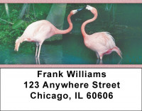 Flamingos In Wild Address Labels | LBZANK-37