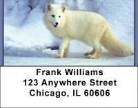 Fox In Winter Address Labels