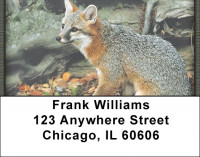 Out Foxed Address Labels