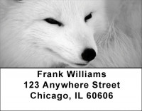 White Fox Address Labels | LBZANK-41