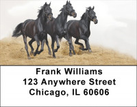 Black Stallions Address Labels | LBZANK-52