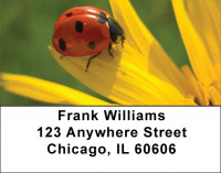 Insects On Flowers Address Labels | LBZANK-54