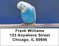 Parakeets On Parade Address Labels | LBZANK-55