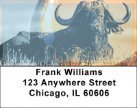 Water Buffalo Address Labels | LBZANK-59