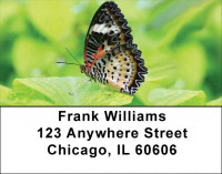 Butterfly Dreams Address Labels | LBZANK-62