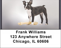 Boston Terrier Puppies Address Labels | LBZDOG-03