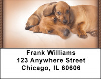Dachshund Puppies Address Labels