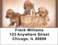 Dachshund Puppies Address Labels | LBZDOG-16