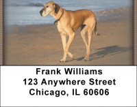 Great Danes Address Labels | LBZDOG-17