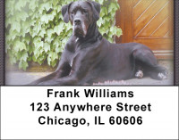 Great Danes Address Labels | LBZDOG-17