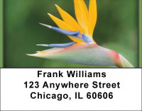 Blooming Paradise Address Labels | LBZFLO-02