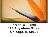 Blooming Paradise Address Labels | LBZFLO-02