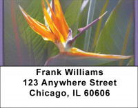Bird Of Paradise Address Labels | LBZFLO-03