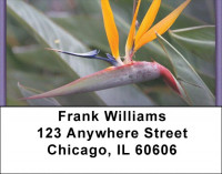 Bird Of Paradise Address Labels | LBZFLO-03