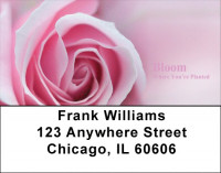 Bloom Where You're Planted Address Labels | LBZFLO-04