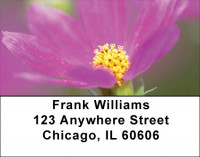 Blooming Closeups Address Labels | LBZFLO-05