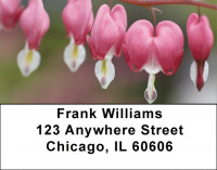 Blooming Closeups Address Labels | LBZFLO-05