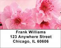Blossoms In Pink and Blue Address Labels | LBZFLO-06