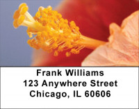 Bouquet of Hibiscus Address Labels
