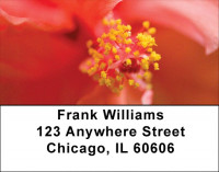 Bouquet of Hibiscus Address Labels | LBZFLO-07