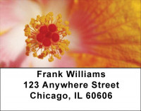 Bouquet of Hibiscus Address Labels | LBZFLO-07