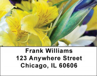 Colorful Floral Bouquets Address Labels | LBZFLO-09