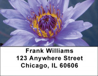 Colors In Bloom Address Labels