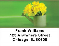 Daffodils Address Labels | LBZFLO-12
