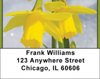 Daffodils First To Bloom Address Labels | LBZFLO-13