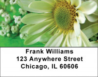 Daisies On Green Address Labels | LBZFLO-14