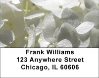 Hydrangea With Guests Address Labels | LBZFLO-21