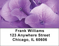 Hydrangea With Guests Address Labels | LBZFLO-21