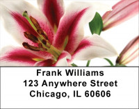 Day Lilies Address Labels | LBZFLO-24