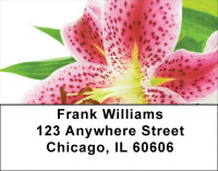 Day Lilies Address Labels | LBZFLO-24
