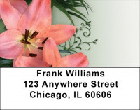 Day Lilies Delight Address Labels