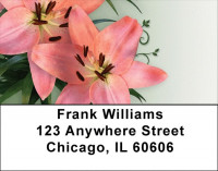 Day Lilies Delight Address Labels | LBZFLO-25