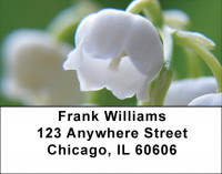 Lilly Of The Valley Address Labels