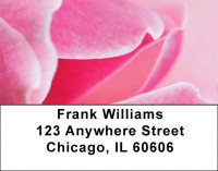 Magnolia Address Labels | LBZFLO-30
