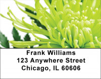 Lacy Mums Address Labels | LBZFLO-32