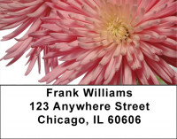 Lacy Mums Address Labels | LBZFLO-32