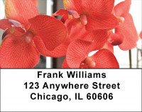 Tropical Orchids Address Labels | LBZFLO-34