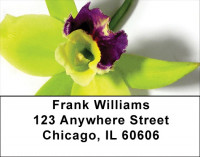 Tropical Orchids Address Labels | LBZFLO-34