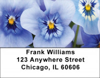 Pansy Parade Address Labels | LBZFLO-36