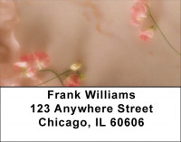 Peach Roses Address Labels | LBZFLO-39
