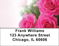Pink Roses Address Labels