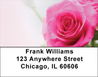 Pink Roses Address Labels | LBZFLO-40