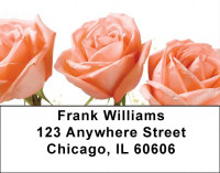 Spring Rose Bouquet Address Labels | LBZFLO-41