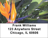 Tropical Floral Favorites Address Labels | LBZFLO-44