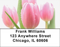 Tulip Temptations Address Labels | LBZFLO-45