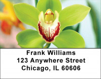 Ultimate Garden Party Address Labels | LBZFLO-46